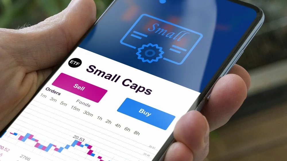 Step-by-Step Guide: Using an SIP Calculator to Choose the Right Small Cap Fund - News Karnataka