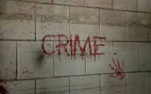 Indian National Assaulted in Dublin, Investigation Launched into Possible Hate Crime - News Karnataka