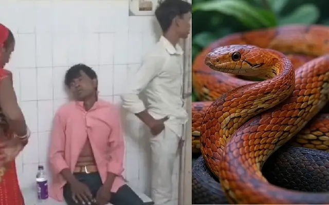 Intoxicated man chews live snake in shocking incident in Uttar Pradesh’s Banda - News Karnataka