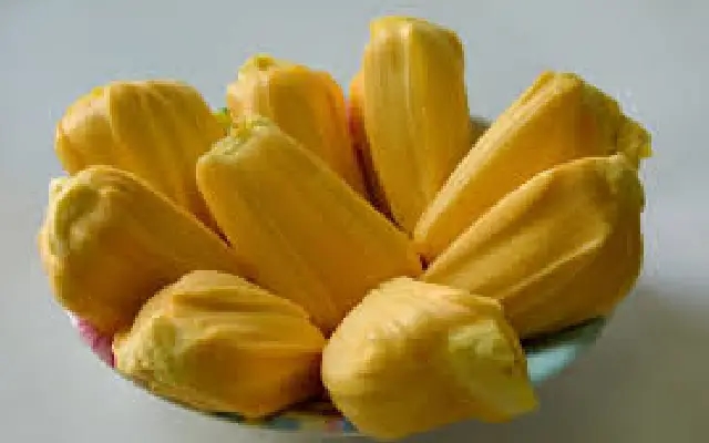 Jackfruit or Jacked Up? Kerala Bus Drivers Fail Booze Test Due to Fruit - News Karnataka