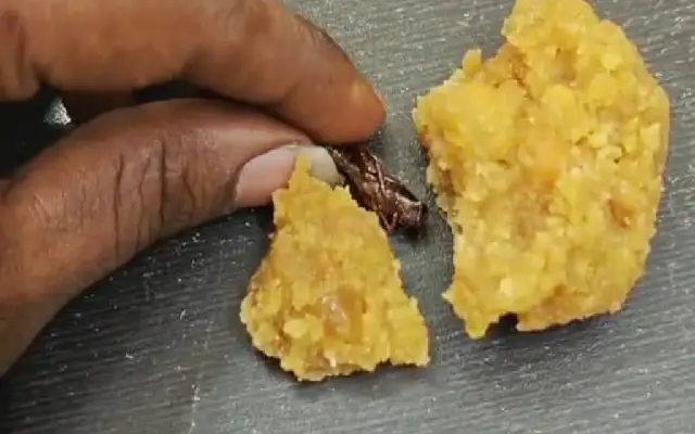 Srisailam Police Book Man for False Claim on Temple Laddu Contamination - News Karnataka