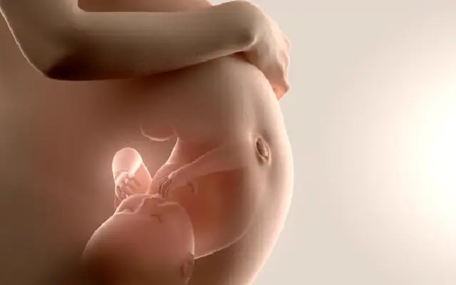 Lawmaker’s Medical Scare Highlights Dangerous Confusion Over Florida’s Abortion Law - News Karnataka