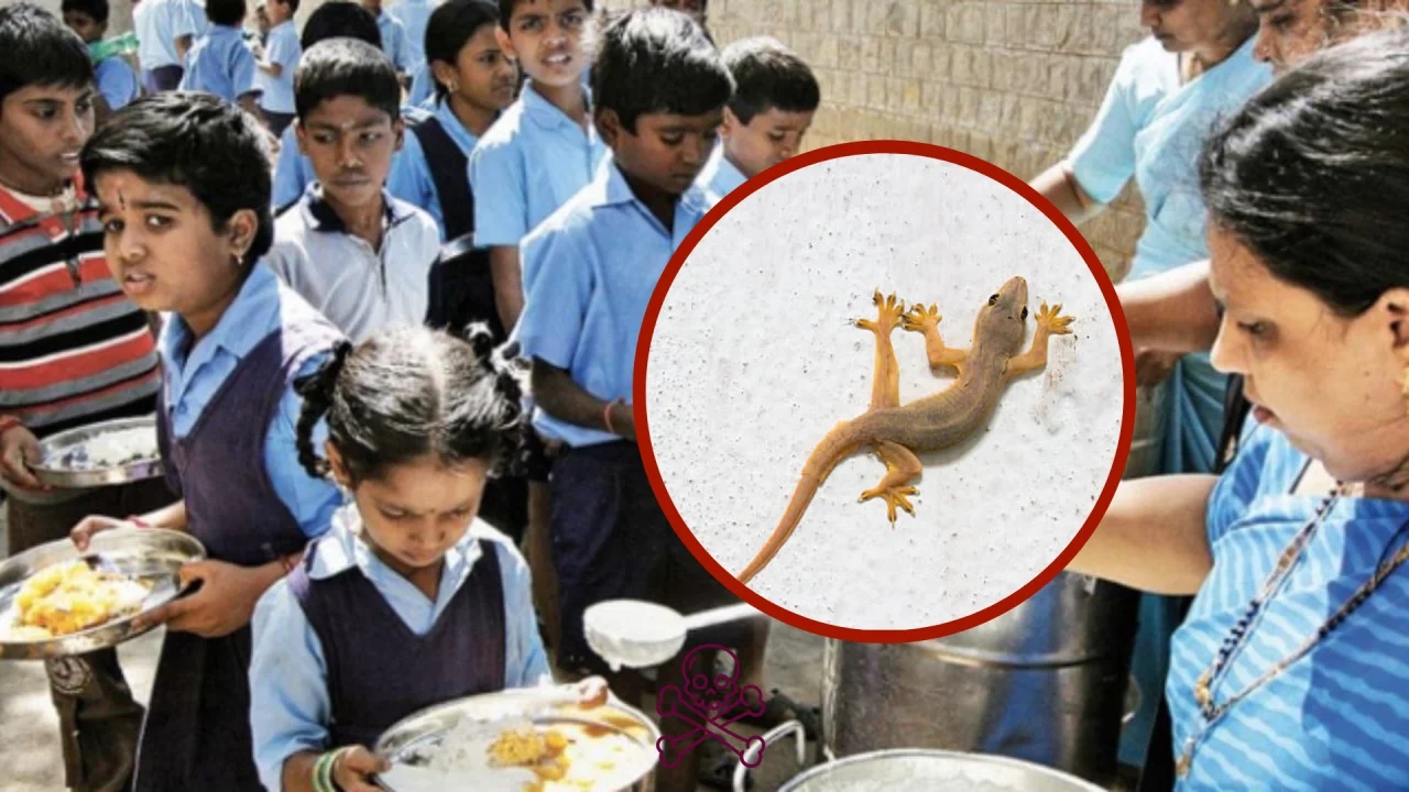 Lizard in school sambar sparks fresh alarm over food safety - News Karnataka