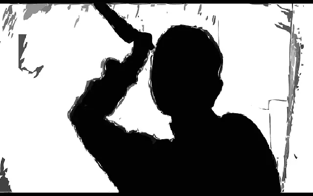 Man Fatally Stabs Wife Inside Hospital in Karur After Domestic Dispute Turns Deadly - News Karnataka