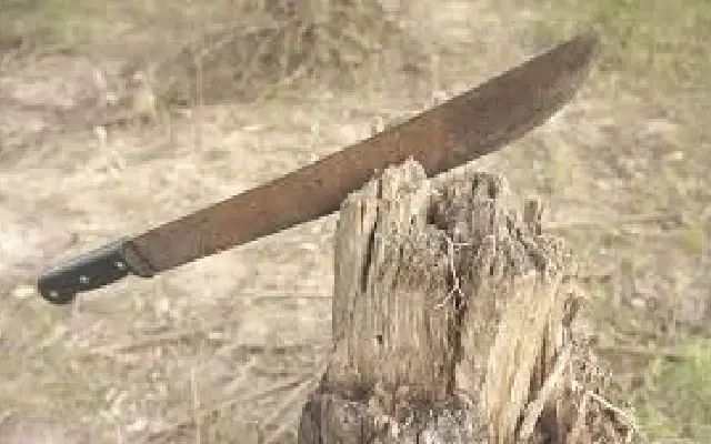 Man threatens Chintamani temple priest's son with machete over money dispute - News Karnataka