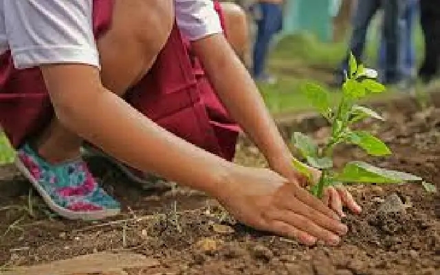 Mangaluru teachers’ association launches 2-year tree plantation contest - News Karnataka