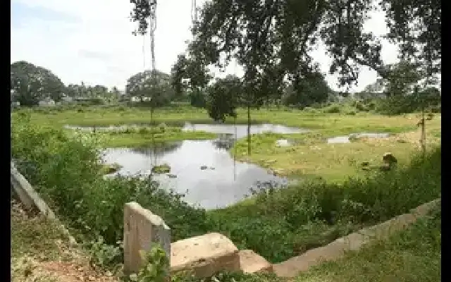 Mysuru to Breathe Life Into Six Major Lakes with ₹40 Crore Revival Mission - News Karnataka
