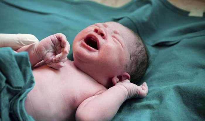 Newborn girl abandoned near rehab centre in Bagalkote, sparks fury over gender bias - News Karnataka
