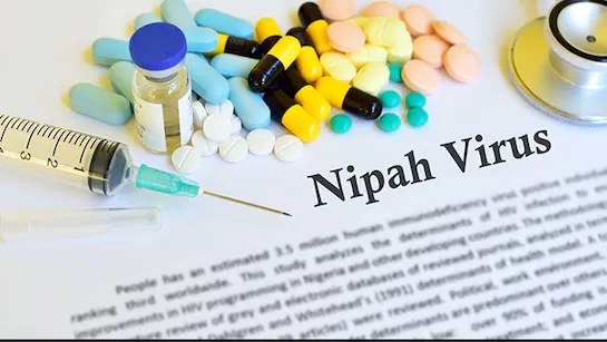 Nipah alert in Kerala: Contact list hits 543 after Palakkad man’s death - News Karnataka