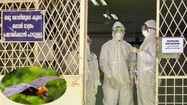 38-year-old woman tests Nipah positive, containment zones declared - News Karnataka
