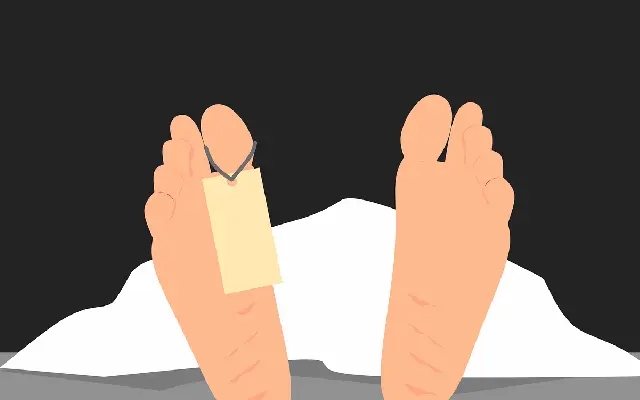 Out-of-Court Settlements Stall Justice in Fatal Road Accidents - News Karnataka
