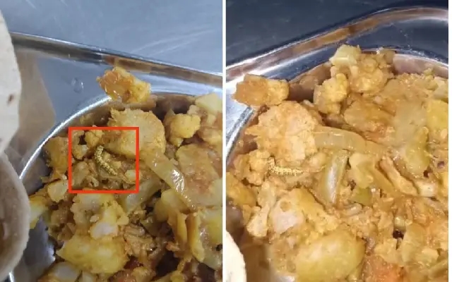 Outrage at Pune University After Worm Found in Canteen Food - News Karnataka