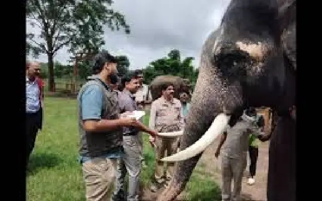 Preparations underway for Mysuru Dasara 2025 Elephant selection - News Karnataka