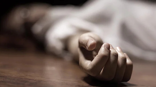 Son’s rage ends in tragedy as mother killed during kitchen quarrel - News Karnataka