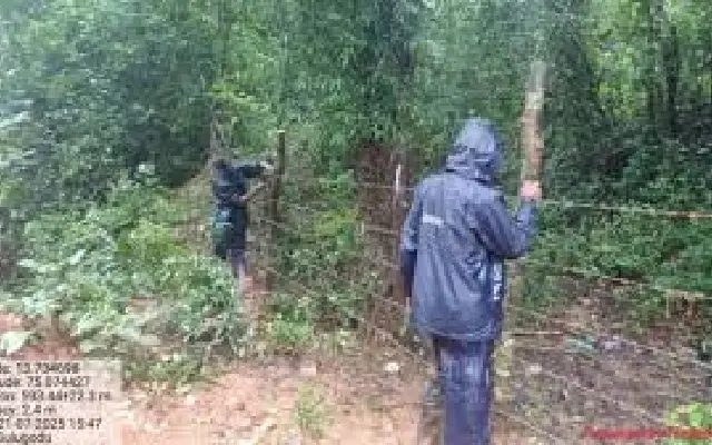 Talasi Abbi Falls Shut After Tragedy: Forest Dept Clamps Down on Unsafe Tourism - News Karnataka