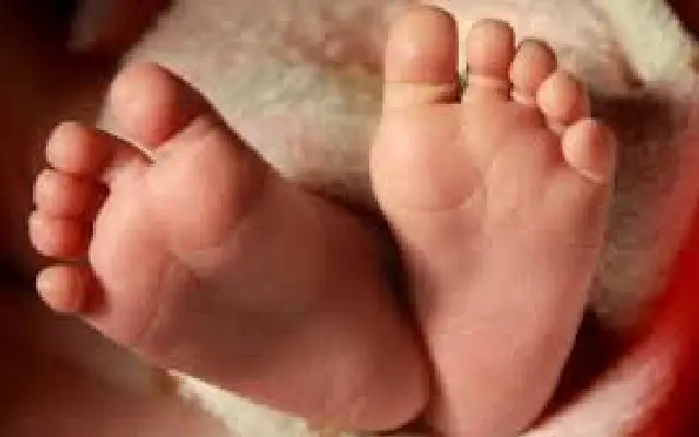 Teen mother arrested after newborn thrown from moving bus in Maharashtra - News Karnataka