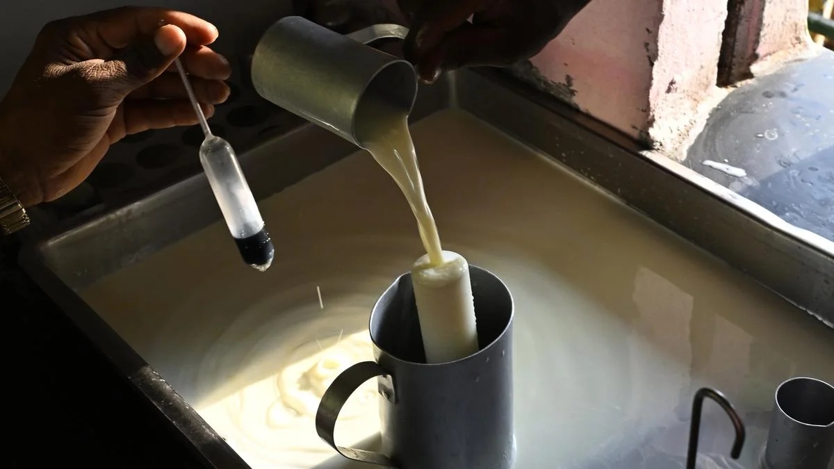 Toxic synthetic milk racket exposed in Karnataka border areas - News Karnataka
