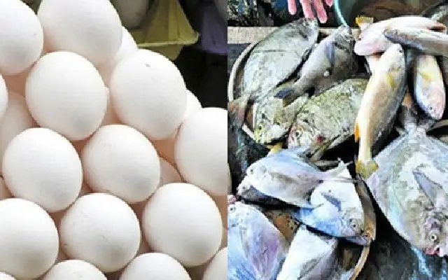 Egg demand soars in coastal districts as fish ban triggers protein shift - News Karnataka