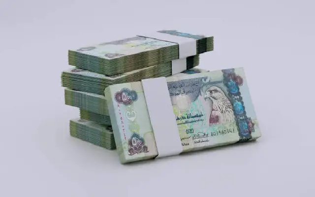 Man Held in Bhatkal for Circulating Fake UAE Currency - News Karnataka