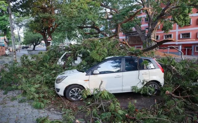 Heavy Rains, Strong Winds Uproot Tree in Mangaluru; Car Damaged, No Casualties - News Karnataka