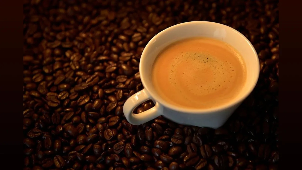 Wayanadan Robusta set to brew a name in global specialty coffee market - News Karnataka