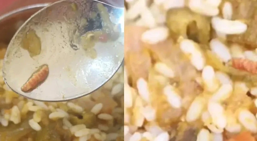 Worm found in Horlicks sparks health scare; family plans legal action - News Karnataka