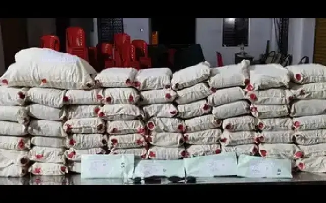 123 kg ganja seized in Mangaluru; Udupi cops crack cattle theft and gambling rackets - News Karnataka