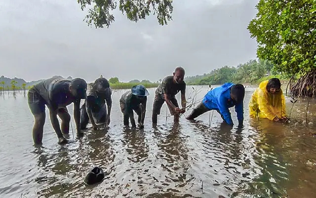 Amara Initiative 2025 Concludes with Mangrove Drive, Push for Greener Mangaluru - News Karnataka