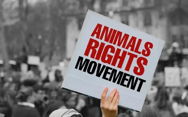 Bengaluru activists mark independence day with protest for animal rights - News Karnataka
