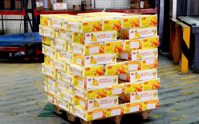 Bengaluru airport records best-ever mango export season - News Karnataka