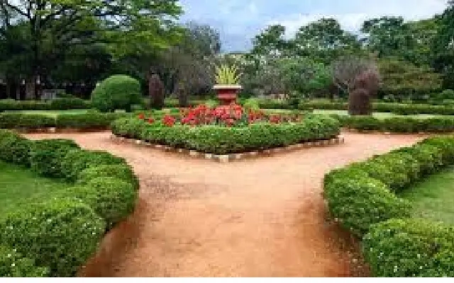 Bengaluru blooms in the monsoon: culture, cuisine, and conversations - News Karnataka