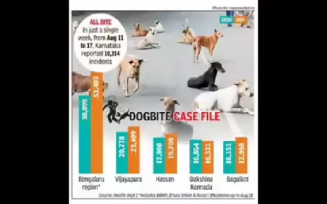 Karnataka reports 3.1 lakh dogbite cases in 2025; Bengaluru worst hit - News Karnataka