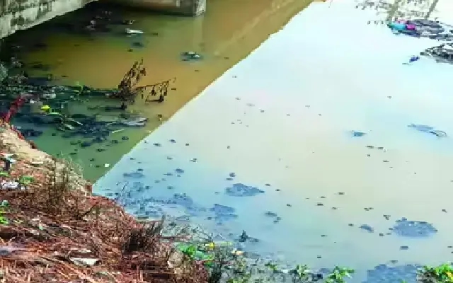 Gangashetty Lake Suffers Fishkills Two Years After ₹4-Crore Revival - News Karnataka