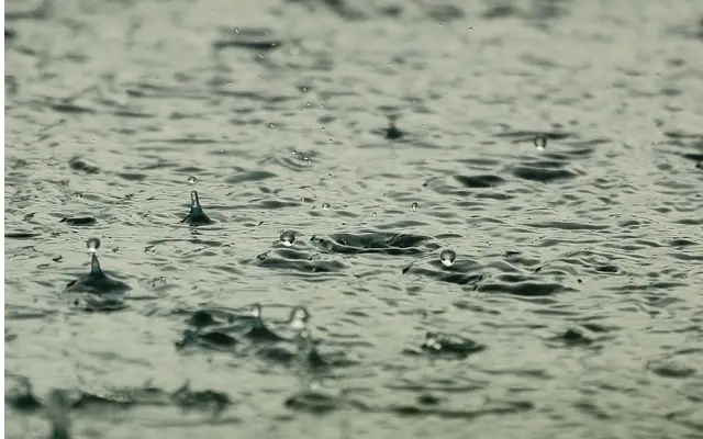 Heavy rains lash Karnataka, IMD issues orange and yellow alerts - News Karnataka