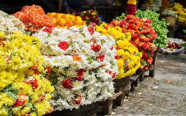 DK Gears Up for Sri Krishna Janmashtami Festivities - News Karnataka
