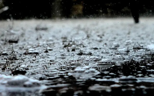 Yellow alert issued as coastal Karnataka braces for heavy monsoon showers - News Karnataka