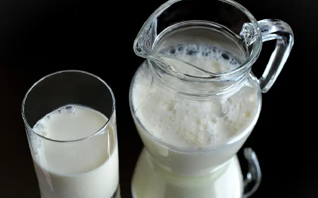 “Plant Milks Go Mainstream: Creamy, Conscious & Cruelty-Free” - News Karnataka