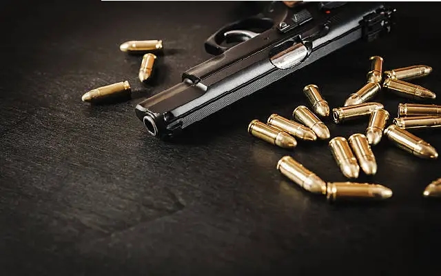 Unlicensed Pistol Seized, Two Nabbed Near Kedekar Cross - News Karnataka