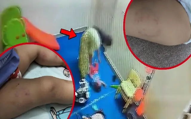 Toddler Beaten, Bitten, and Thrown — Nanny Arrested After CCTV Shocker - News Karnataka