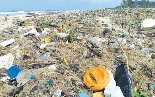 Waste piles on Malpe beach spark outrage ahead of Ganesh Chaturthi - News Karnataka