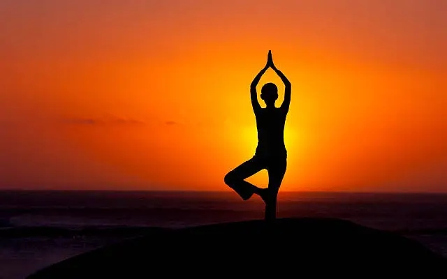 Sri Ramakrishna Math Launches Two-Week Yoga Camp Promoting Holistic Wellness - News Karnataka