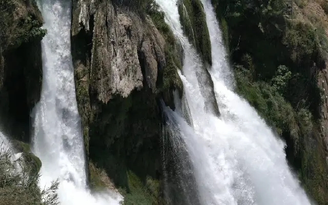 Auto driver, cop save Bengaluru businessman from suicide at Jog Falls - News Karnataka