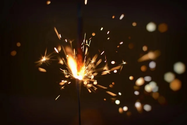 Bengaluru Rural bans firecrackers after boy dies in immersion blast - News Karnataka