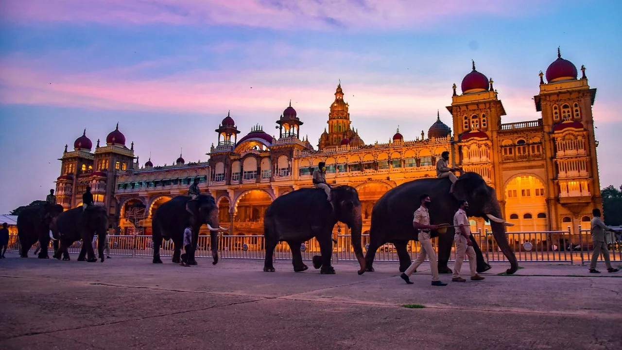 Grand festive spirit as Mysuru welcomes first batch of Dasara elephants - News Karnataka