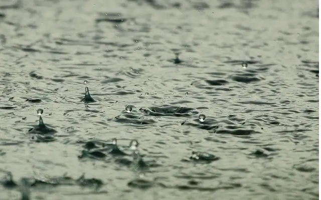 Bengaluru on yellow alert as IMD warns of rain till September 3 - News Karnataka