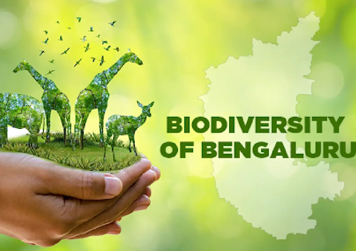 Bengaluru set to get its second biodiversity heritage site in city centre - News Karnataka