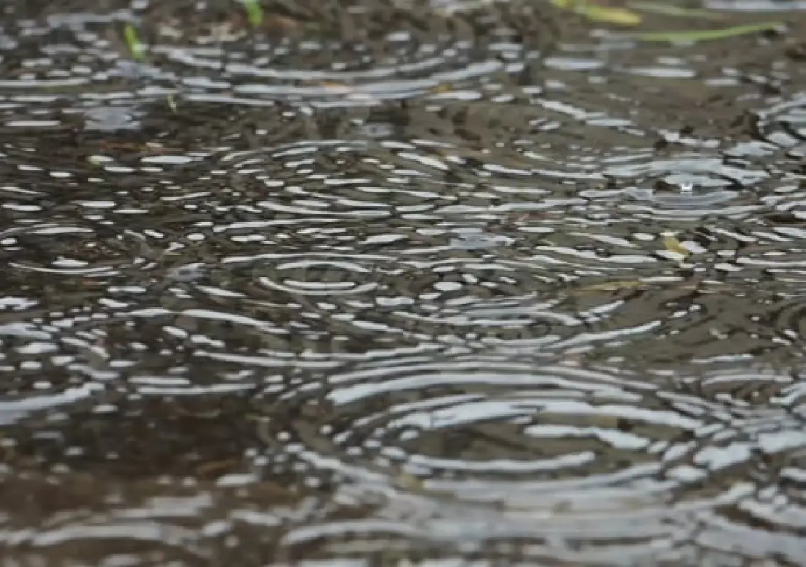 Bengaluru to witness heavy rainfall and improved air quality this week - News Karnataka