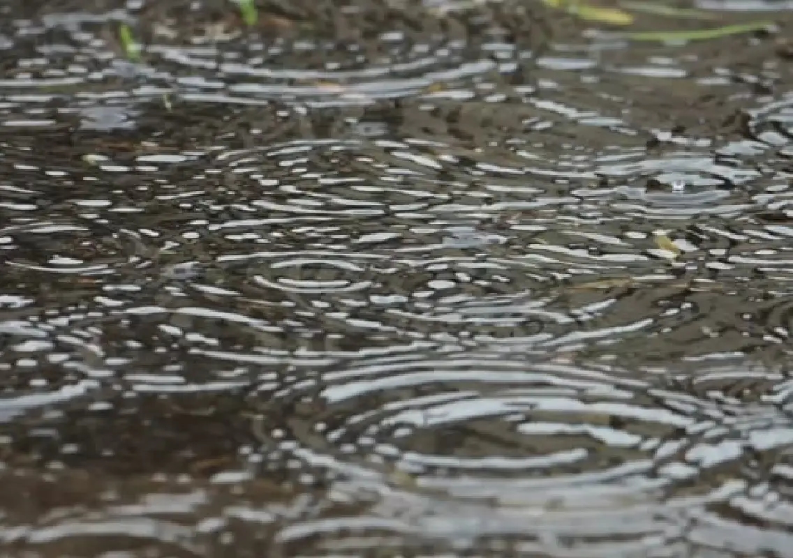 Bengaluru sees patchy rainfall with moderate air quality on September 27 - News Karnataka