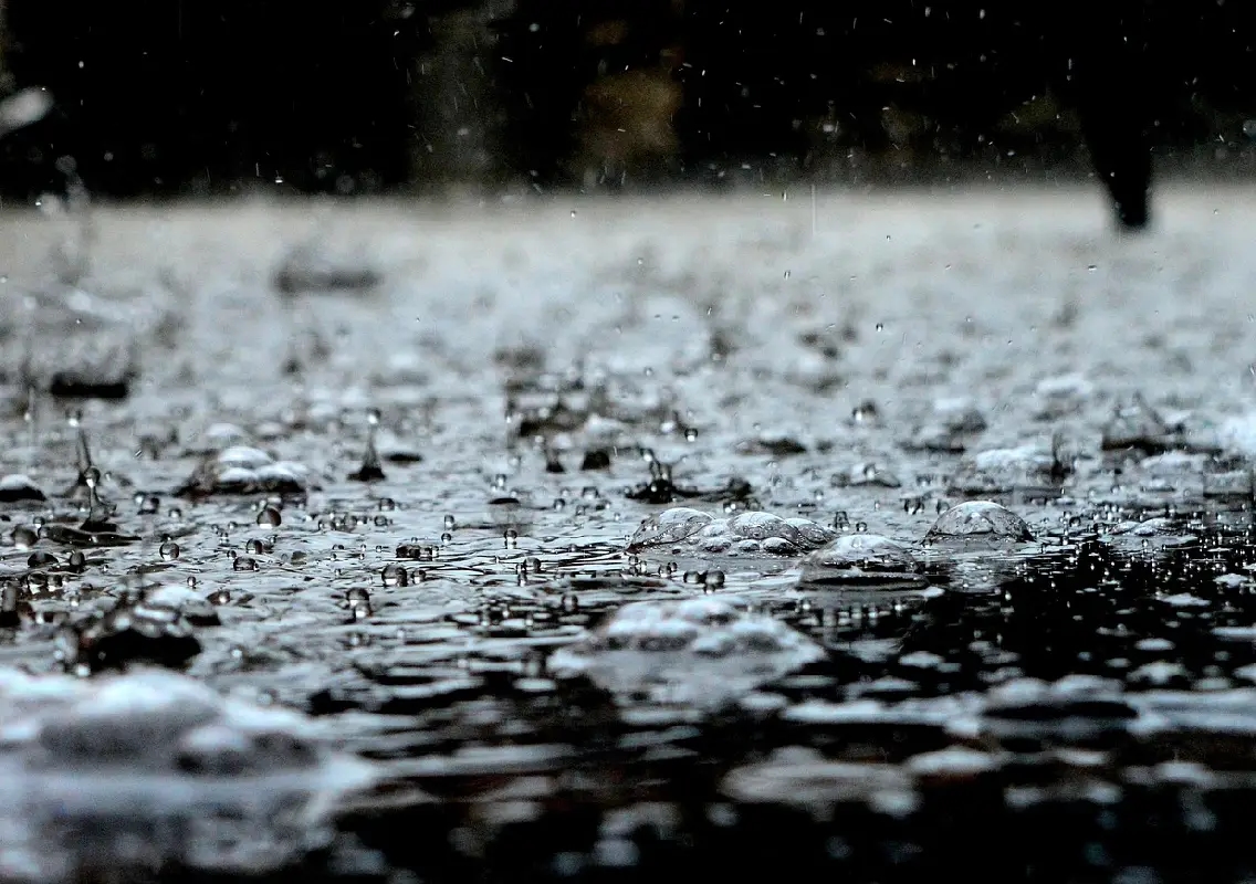 Bengaluru Weather Update: Pleasant Morning, Light Rain Expected Today - News Karnataka