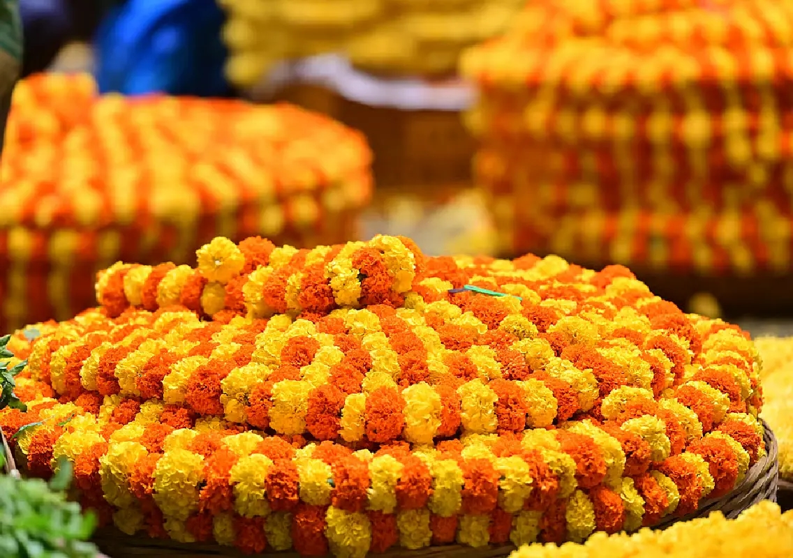 GKVK Flower Market Plan Raises Alarm Over ICAR Recognition for Horticulture College - News Karnataka